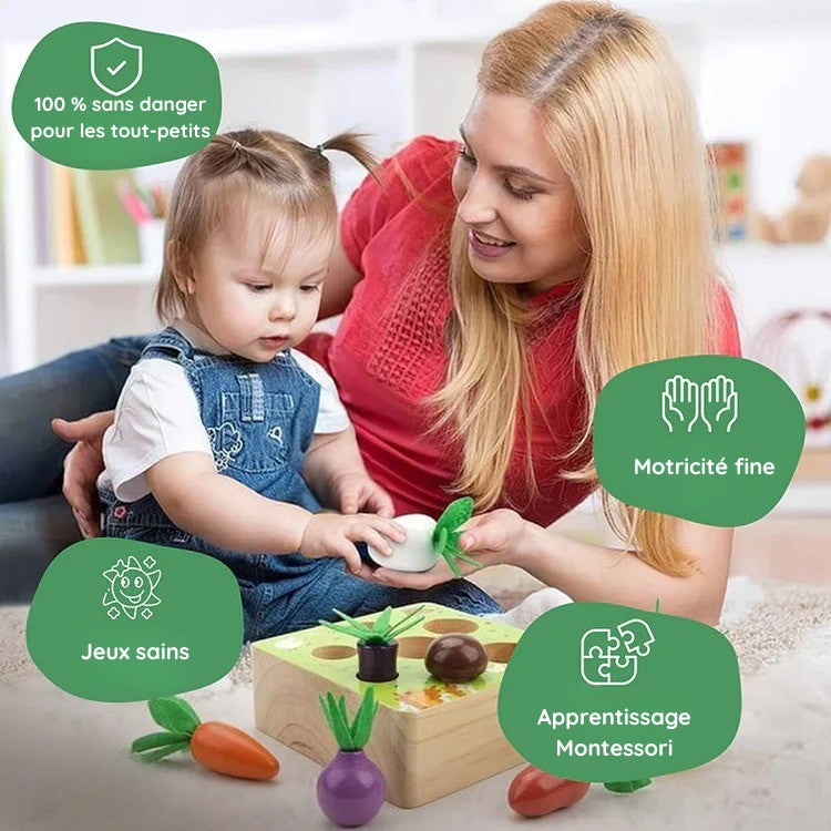 Montessori vegetable set