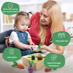 Montessori vegetable set