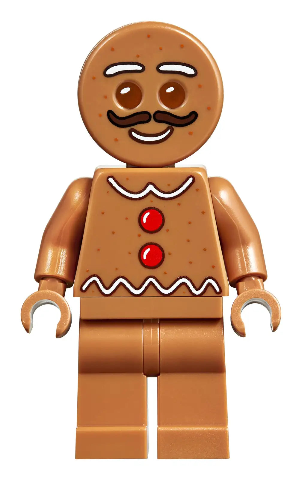 Montessori gingerbread house