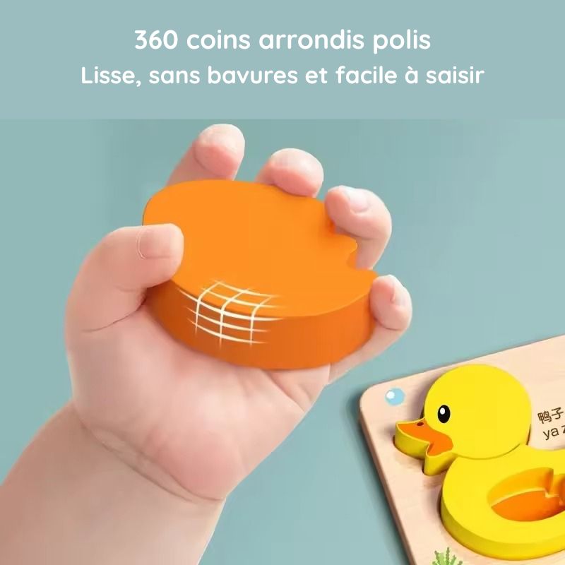 Montessori wooden puzzles