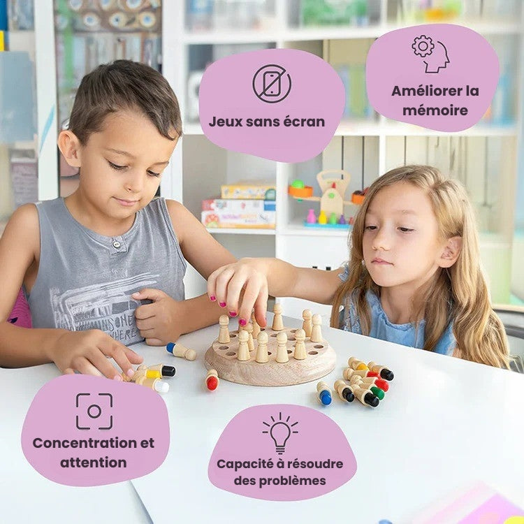 Montessori Memory Game