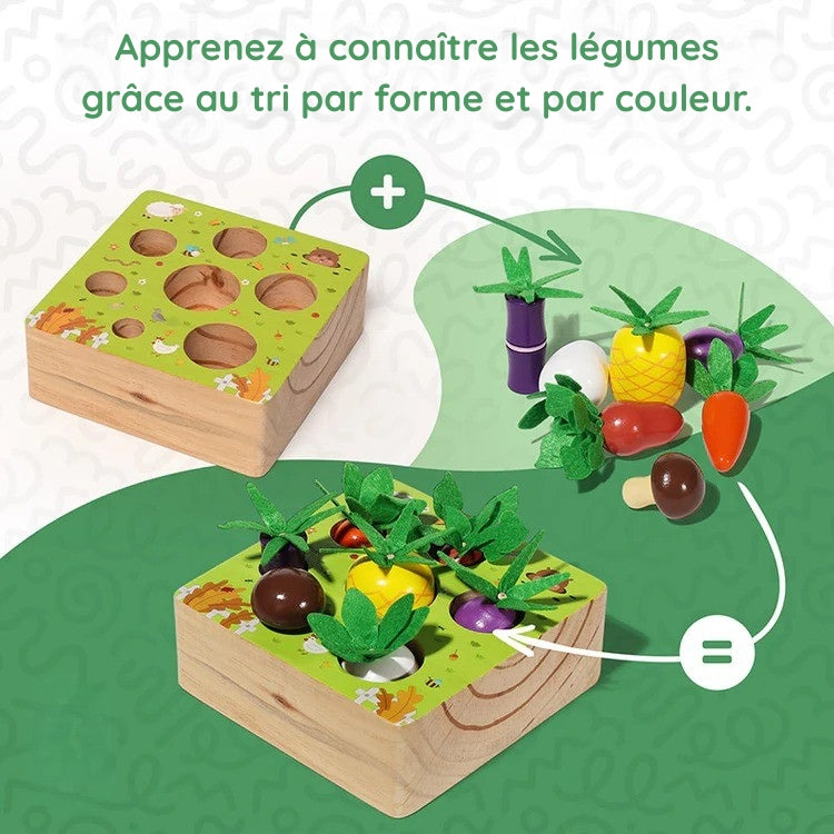 Montessori vegetable set