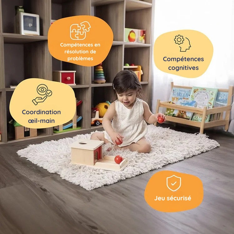 Montessori box on the topic of object permanence