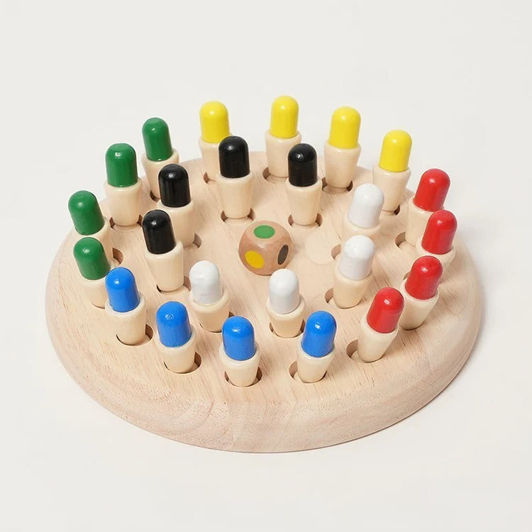 Montessori Memory Game