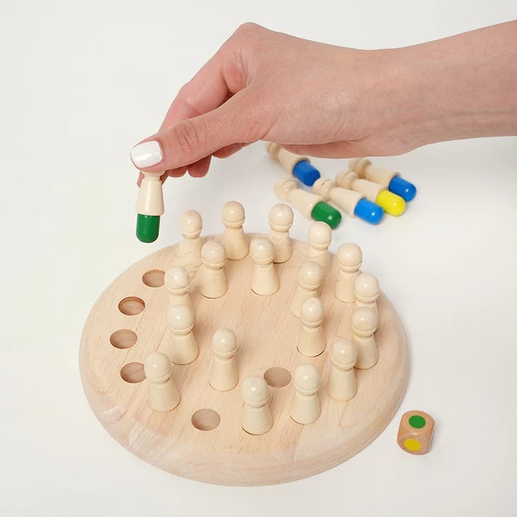 Montessori Memory Game