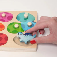 Montessori puzzle “The Hatching of the Dinosaur”