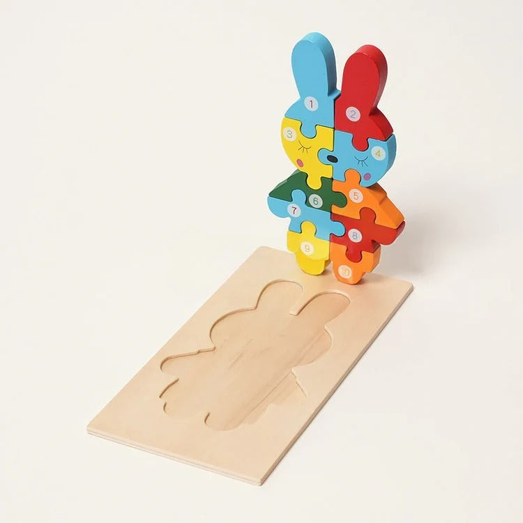 Montessori wooden puzzle