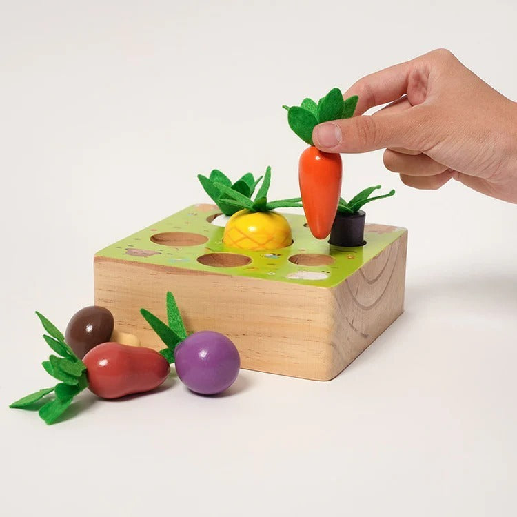 Montessori vegetable set