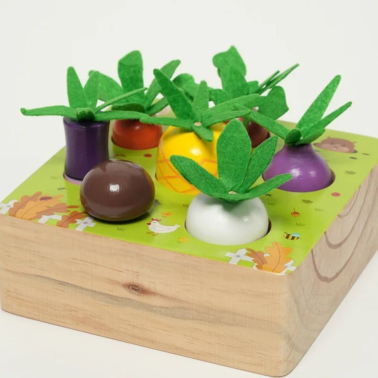 Montessori vegetable set