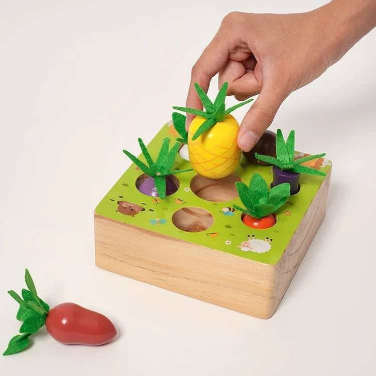 Montessori vegetable set