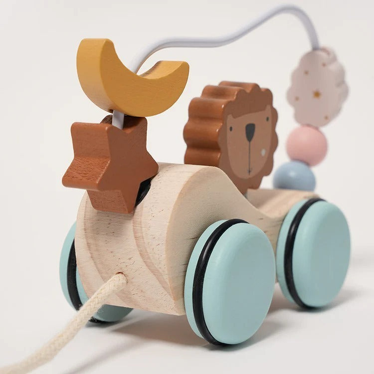 Scooter Lion Montessori