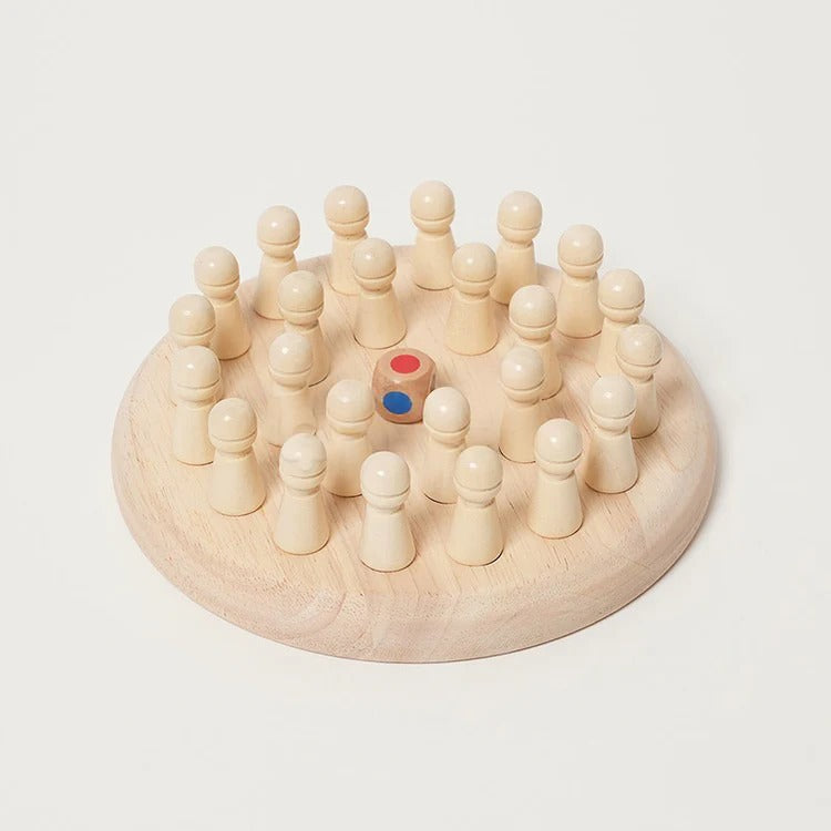 Montessori Memory Game