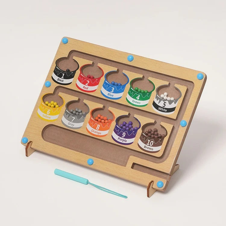 Montessori magnetic puzzle for sorting by color