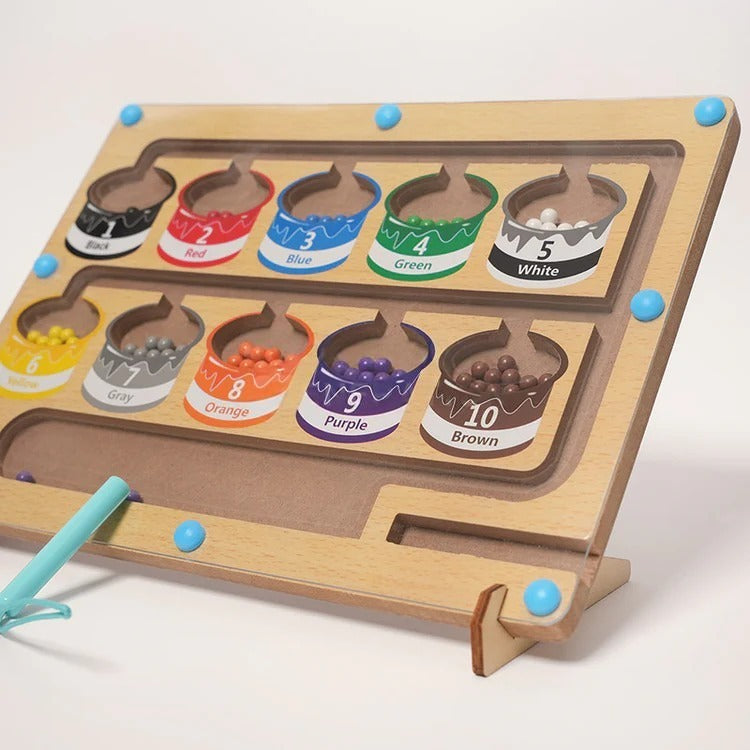 Montessori magnetic puzzle for sorting by color