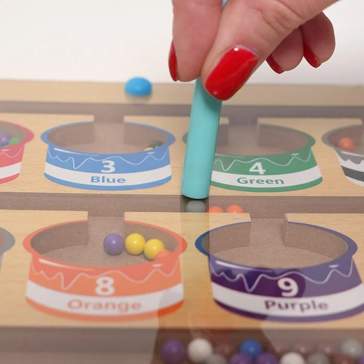 Montessori magnetic puzzle for sorting by color