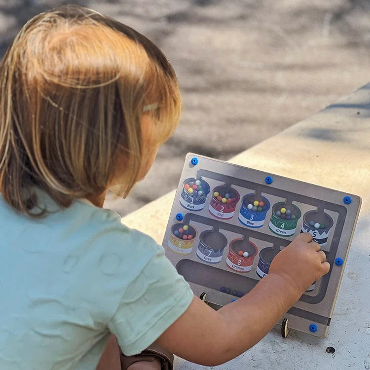 Montessori magnetic puzzle for sorting by color