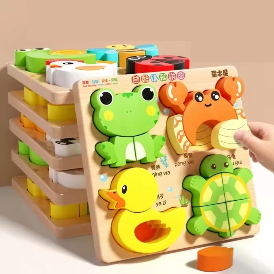 Montessori wooden puzzles