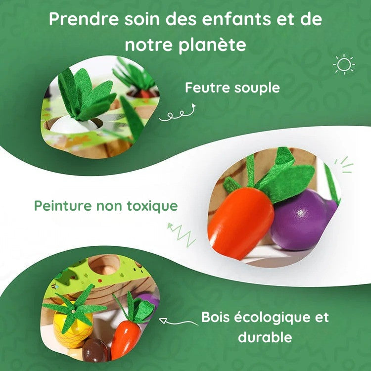 Montessori vegetable set