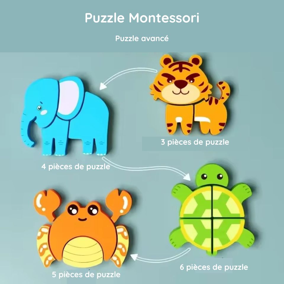 Montessori wooden puzzles