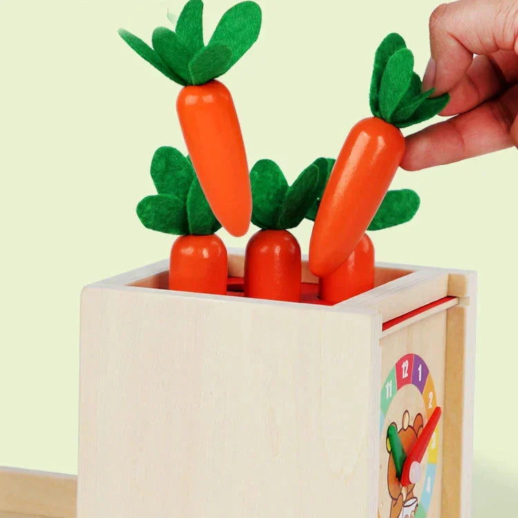 Montessori box with shapes, colors and balls