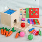 Montessori box with shapes, colors and balls