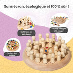 Montessori Memory Game