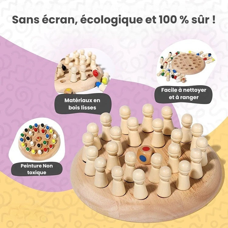 Montessori Memory Game