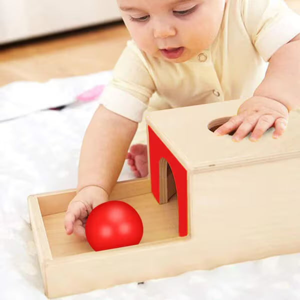 Montessori box on the topic of object permanence