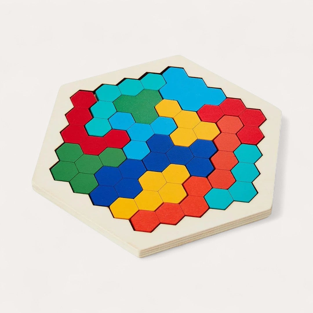 Montessori hexagon puzzle