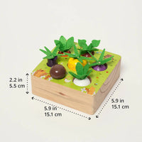 Montessori vegetable set