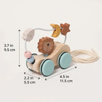 Scooter Lion Montessori