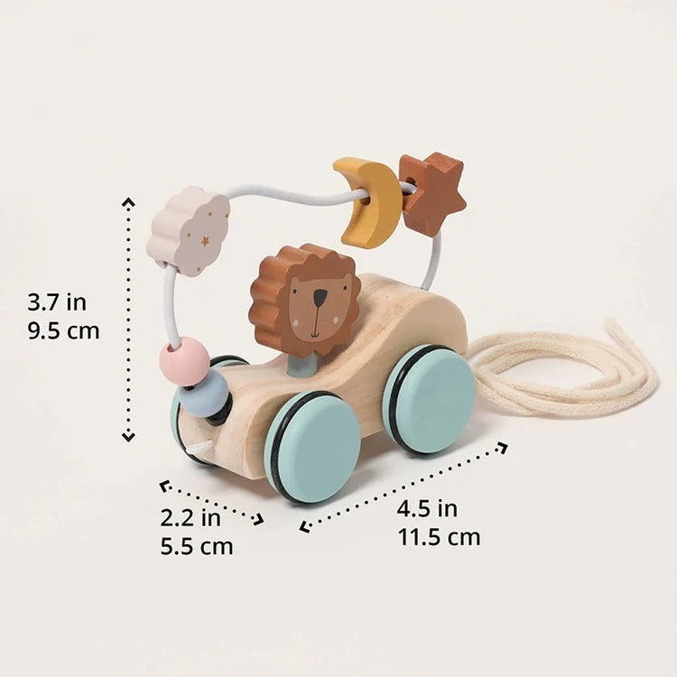 Scooter Lion Montessori