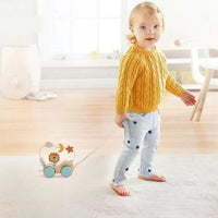 Scooter Lion Montessori