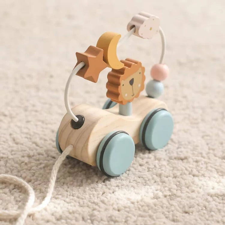 Scooter Lion Montessori
