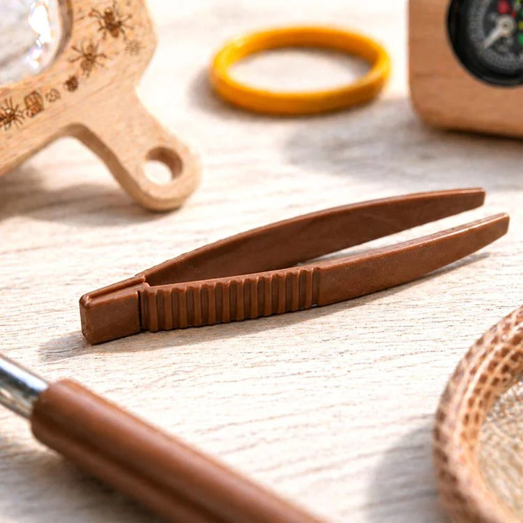 Montessori set for discovering nature