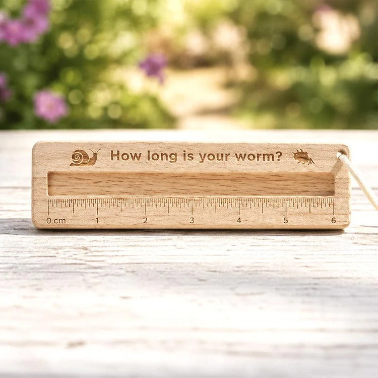 Montessori set for discovering nature