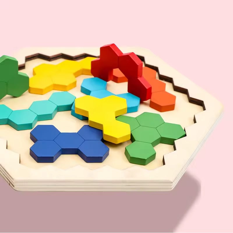 Montessori hexagon puzzle