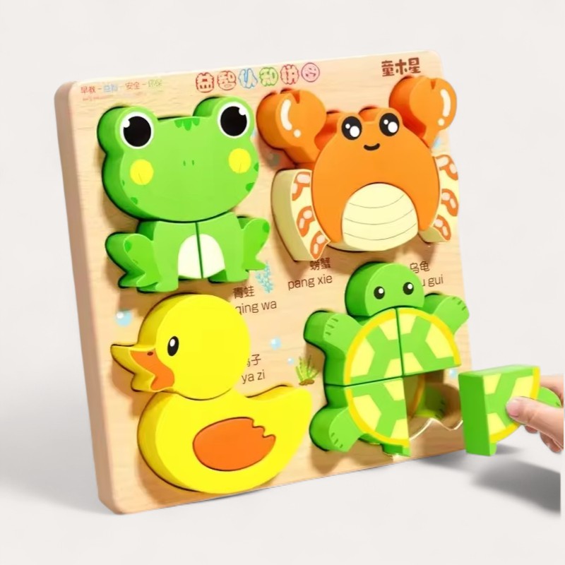 Montessori wooden puzzles