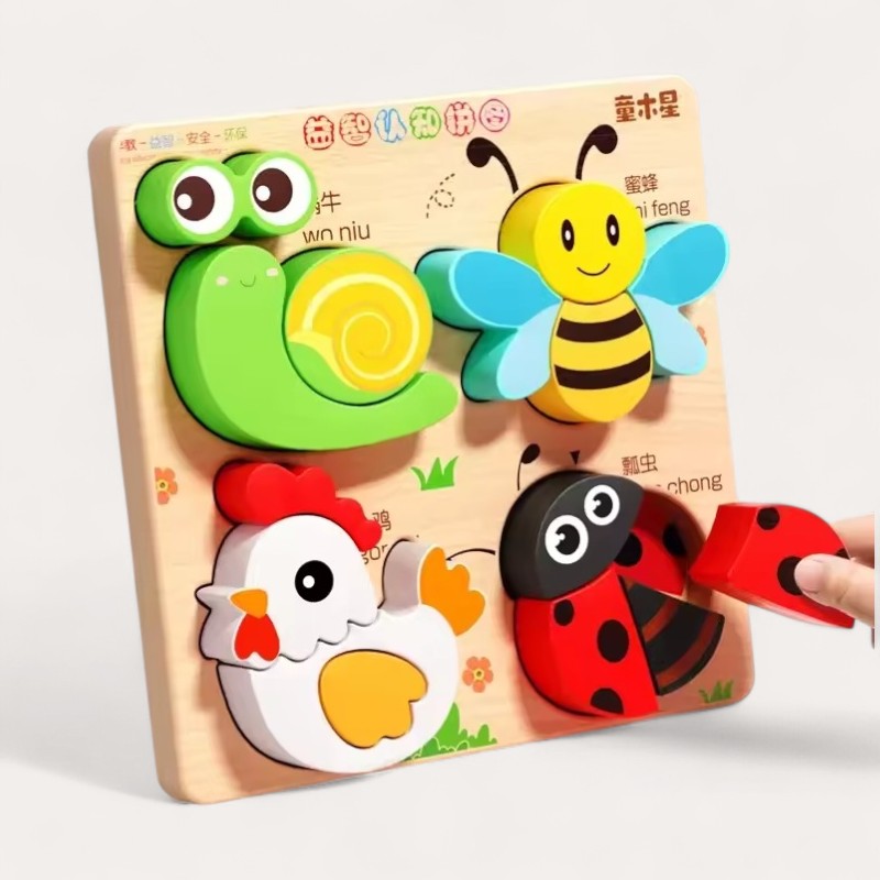 Montessori wooden puzzles
