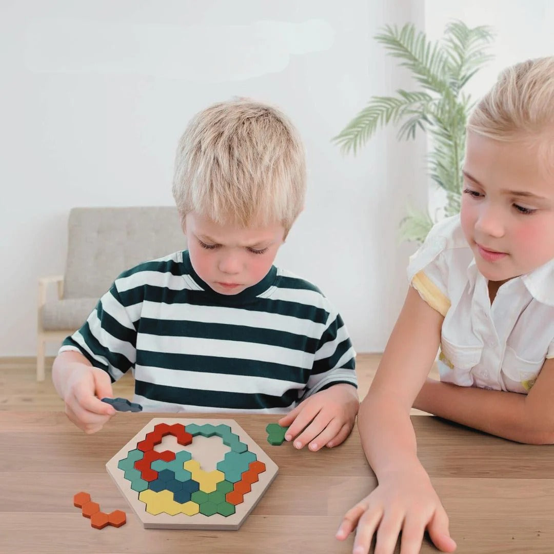 Montessori hexagon puzzle