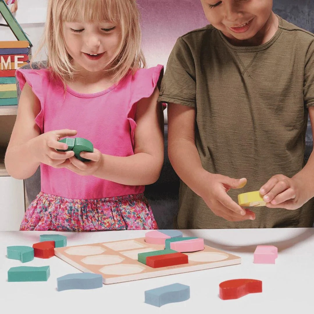 Montessori wooden shape matching board